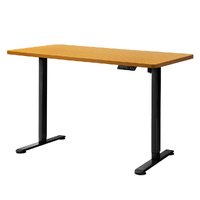 Motorised Standing Desk Height 120cm 800 by 1.5MM Standing Desks