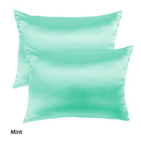 Mulberry Soft Silk Hypoallergenic Pillowcase Twin Pack 51 x 76cm - Mint