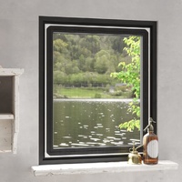 Magnetic Insect Screen for Windows