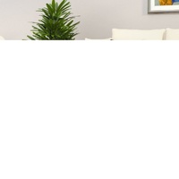 Coffee Table 80x80x36.5 cm Engineered Wood