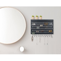 Wall Mount Earring Jewelry Hanger Organizer Holder with 109 Holes and 19 Hooks (Black)