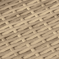 10 Piece Garden Sofa Set with Cushions Beige Poly Rattan