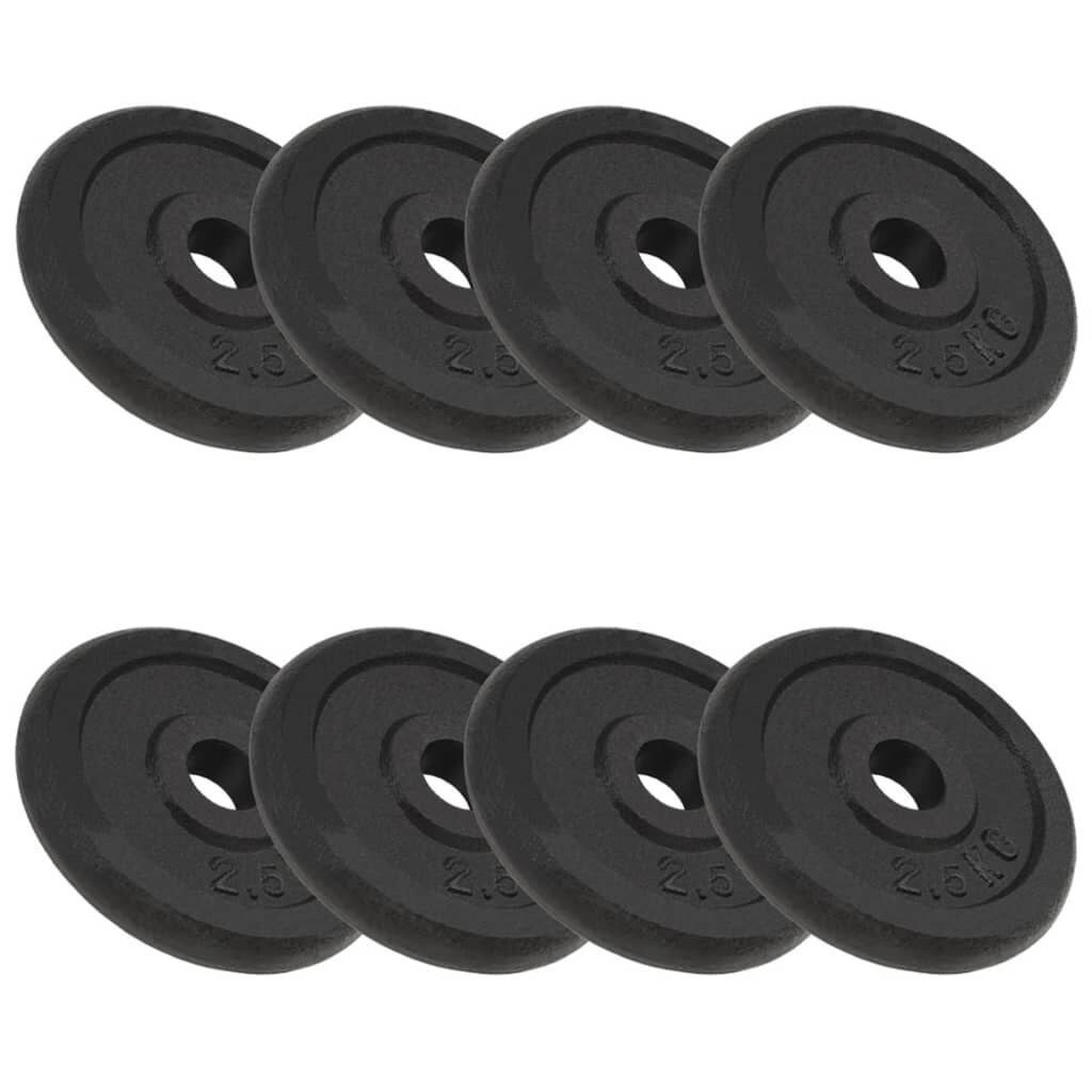 Weight Plates Cast Iron