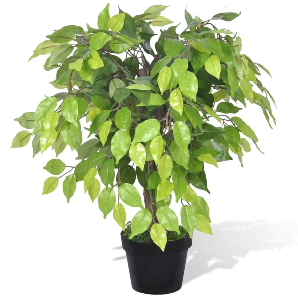 Artificial Dwarf Ficus with Pot