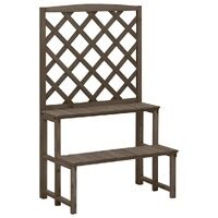 Tiered Fir Plant Display Stand with Climbing Trellis