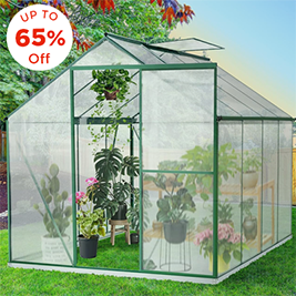 Buy Now Pay Later Alligator