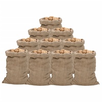 Jute Sacks 10 pcs 60x105 cm 100% Jute 340 gsm