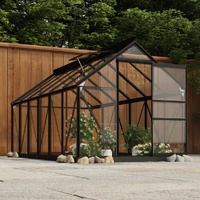 Glass Greenhouse Anthracite 155x298x191 cm Aluminium
