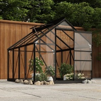 Greenhouse Replacement Frame Anthracite 155x103x191 cm Aluminium