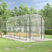 Greenhouse Transparent 160x400x190 cm PVC&Powder-coated Steel