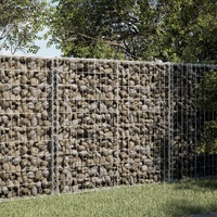 Gabion Basket with Cover 100x50x100 cm Galvanised Iron