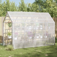 Plant Cover Transparent 3 x 4 m PE