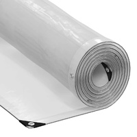 Clear Tarpaulin with Eyelets 3x5 m Polyethylene