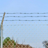 Barbed Wire Green 100 m Hot-dip Galvanised Steel