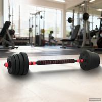 2-in-1 Dumbbell Barbell Set 30kg 30kg Black and Red