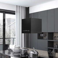 Hanging Island Range Hood Touch Sensor LCD 37 cm Powder-coated Steel