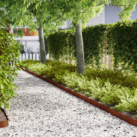 Lawn Edging 10 pcs Brown 100 x 0.05 x 20 cm Weathering Steel