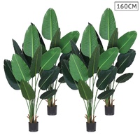 Green colour
