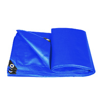  Heavy Duty Tarp Tarpaulin 200GSM 3.05x6.10m