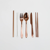 9 Pce S/S Traveller'S Cutlery Set -Rose Gold