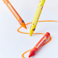  Palmy Crayons 24 Colour