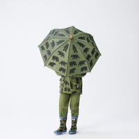  Umbrella | Wild Bears