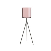 Pink colour