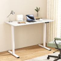Electric Standing Desk Sit Stand Desks 120CM