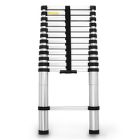 Bullet Telescopic Aluminium Ladder Alloy Extension Extendable Steps