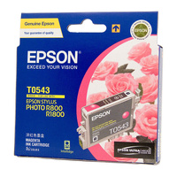 EPSON Ink Cartridge