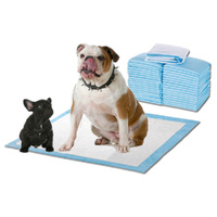 400pc 60x60cm Puppy Pet Dog Indoor Cat Toilet Training Pads Absorbent