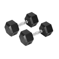 2x Rubber Hex Dumbbell Home Gym Exercise Weight Fitness Training