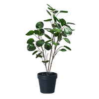 Green Artificial Indoor Pocket Money Tree Fake Plant Simulation Decorative