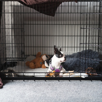 Dog Cage Pet Crate Cat Puppy Metal Cage ABS Tray Foldable Portable Black - Black