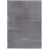 brandon-dc-95-silver