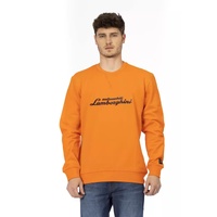 Front Print Crewneck Sweatshirt with Logo Sleeve Insert