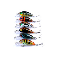 Popper Crank Bait Fishing Lure Lures Surface Tackle Saltwater