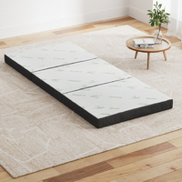 Foldable Mattress Folding Foam Bamboo