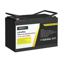Lithium Battery LiFePO4 Deep Cycle Box Solar Caravan Camping