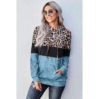 Azura Exchange Leopard Colorblock Hoodie
