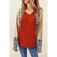 Azura Exchange Leopard V Neck Long Sleeve Top