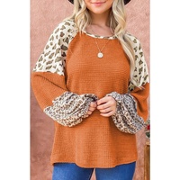 Azura Exchange Leopard Colorblock Top