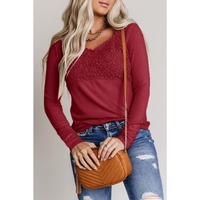 Azura Exchange Lace Crochet V Neck Long Sleeve Top