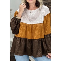 Azura Exchange Balloon Sleeve Color Block Blouse