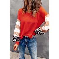Azura Exchange Leopard Stripe Lantern Sleeve Top
