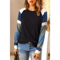 Azura Exchange Long Sleeve Color Block Pullover Top