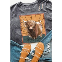Azura Exchange Wild Land Western Fashion Graphic Tee