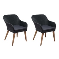 Outdoor Chairs with Cushions 2 pcs Poly Rattan