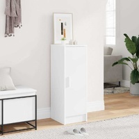 Gemvunas Reversible-Door Shoe Cabinet