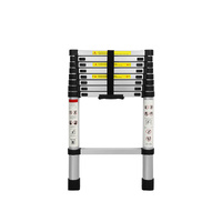  Multipurpose Ladder Telescopic 2.6M Silver 2.6 Meter